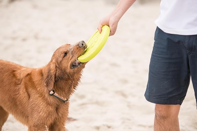 WEST PAW Zogoflex Zisc Dog Flying Disc, High Flying Aerodynamic Disc for Dogs Puppy – Lightweight, Floatable Disc for Fetch, Tug of War, Catch, Play – Doubles as Food/Water Bowl, Large, Granny Smith