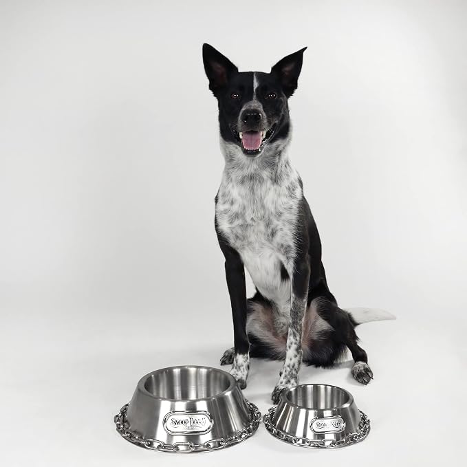 Snoop Doggie Doggs Off The Chain Deluxe Pet Bowl
