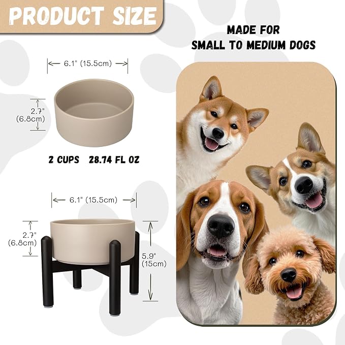 Raised Ceramic Dog Bowl, 6.1'' Modern Feeding Bowl with Non-Slip Stainless Steel Stand, Elevated Food or Water Dish for Small to Medium Dogs, 2 Cups (28.75 fl oz) - Grey
