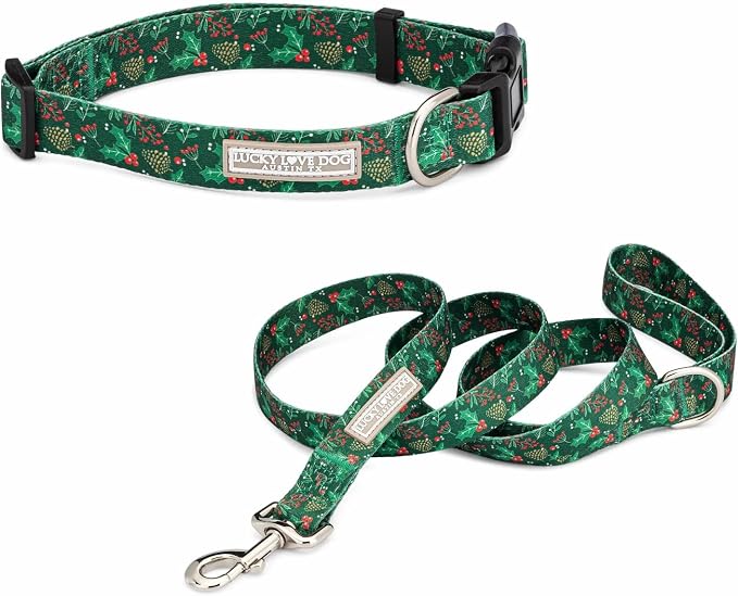 Lucky Love Dog - Easy Click Holly Dog Collar with Leash Set Combo, Durable & Comfortable for Male & Female Dogs, Pet Collar for Small Dogs, Secure Fit - Holly Combo, Small