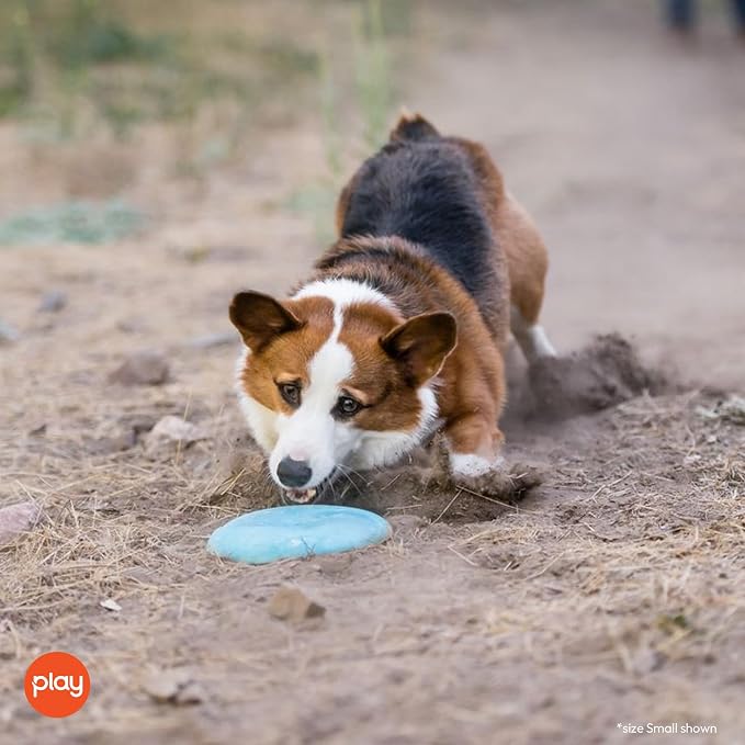 P.L.A.Y. Cute Outdoor Dog Toys - ZoomieRex InfiniDisc Rubber Frisbee, Great for Puppies & Small, Medium, Large Dogs - Dishwasher Safe, Lightweight, Floats in Water, Beach Friendly (Blue, Small)