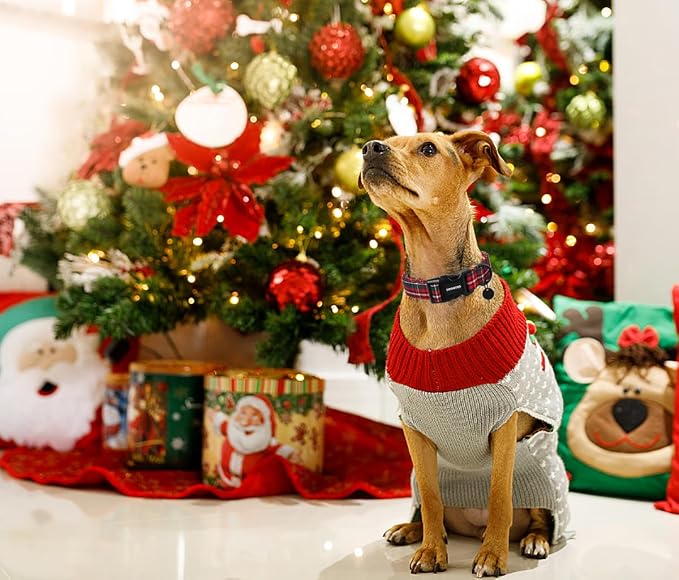 DOGWONG Christmas Cotton Dog Collar, Heavy-Duty Red Plaid Dog Collar Durable Soft Fabric Pet Dog Collars Cute Christmas Checked Puppy Necklace for Small Dogs