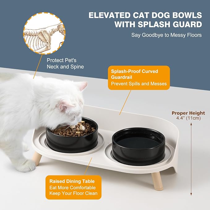 Raised Cat Food and Water Bowl Set - Elevated Ceramic Dishes with Non-Slip Stand and Splash Guard for Small Dogs - 2 x 320 ML (4.9 OZ) - Black