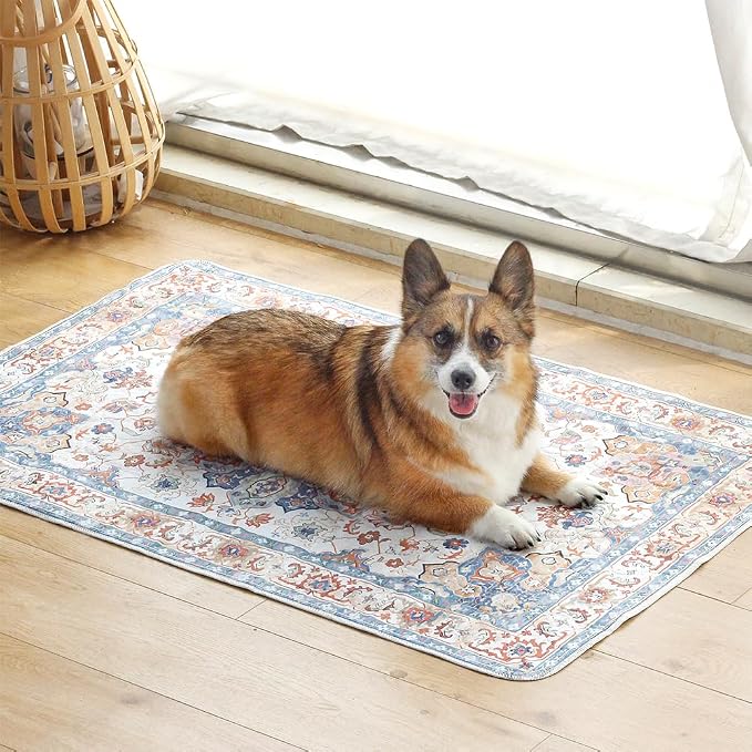 Washable Pee Pads for Dogs, 2 Pack Reusable Puppy Training Pads 40"x26" Super Absorbent Waterproof Dog Training Pads, Non-Slip Potty Pads, Whelping Pads Litter Mat Beige