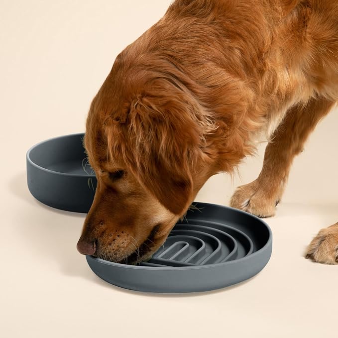 Should We Go? Slow Feeder Dog Bowls - Large Size Silicone Slow Eating Dog Bowl for Puppies & Dogs with Suction Cup -Dishwasher-Safe, Lick Mat Design, Reduces Gulping,for All Breeds,9.5”x1.5”-Charcoal