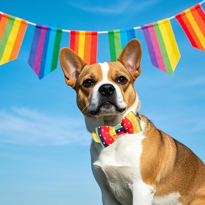 DOGWONG Rainbow Dog Collar with Bow Tie for LGBT Pride Month - Adjustable and Comfortable LGBT Pride Dog Collar for Large Medium Small Pet