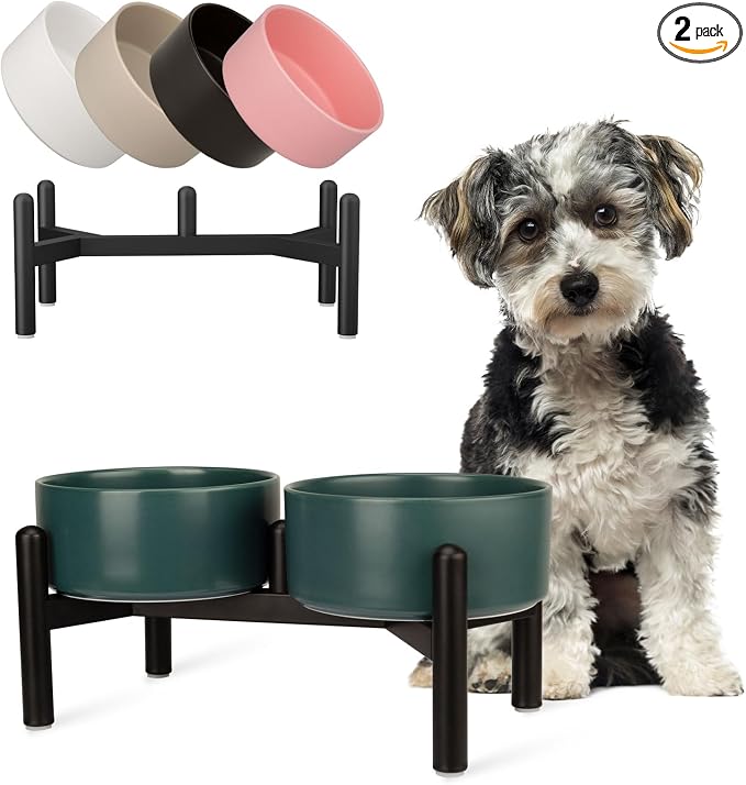 Raised Ceramic Dog Bowl Set with Stand, 3.5 Cups Elevated Dog Food Stand | 6.1'' Double Dog Food and Water Bowl Set, Non-Slip Dog Feeding Dishes for Small to Medium Breeds, 29.57 OZ, Green