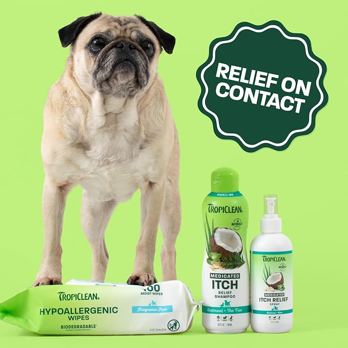 TropiClean Oatmeal & Medicated Itch Variety Pack, 3 Piece