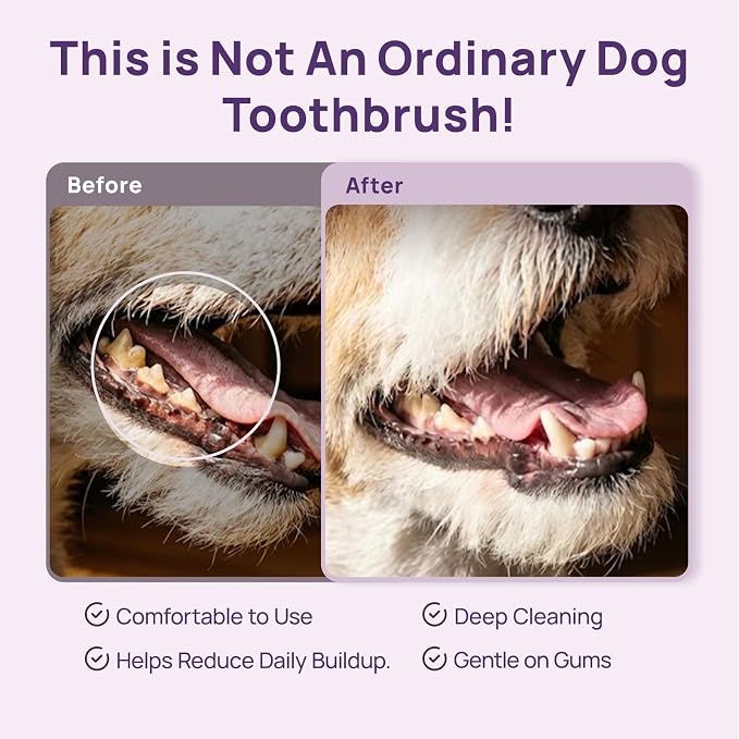 HICC PET Toothbrush for Cats & Small Dogs,Ergonomic Pet Toothbrush for Easy Teeth Cleaning,Gentle on Gums, Cat & Dog Oral Care – Toothpaste Not Included