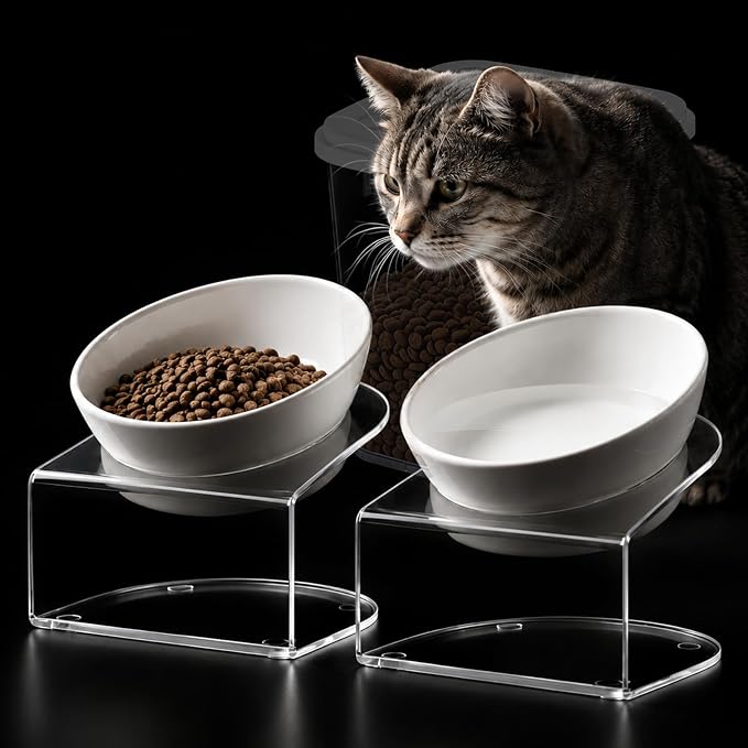 LivLab Mker Elevated Cat Bowls, Tilted Melamine, White, 2 Pack | Two tilted melamine bowls support comfortable feeding for cats, kittens, flat-faced pets, and small dogs; white finish.