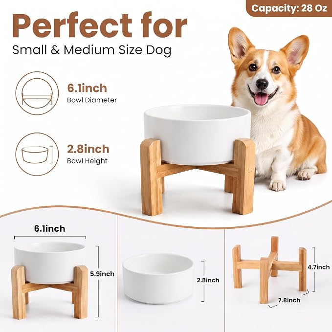 hjn Elevated Ceramic Dog Bowl with Bamboo Stand, Raised Pet Feeding Station for Small Medium Dogs Cats, Modern Design with Anti-Slip Base (White, 3.6Cup)