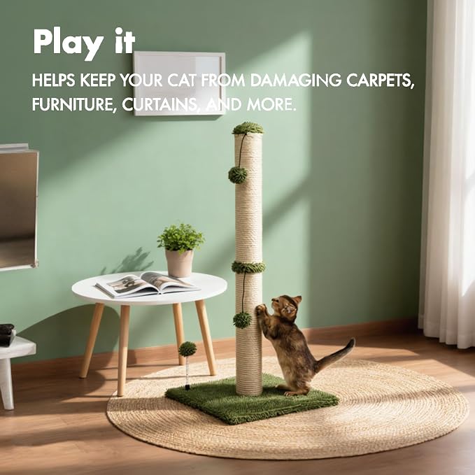 MECOOL 34“ Tall Cat Scratching Post Premium Basics Kitten Scratcher Sisal Scratch Posts Trees with Hanging Ball for Indoor Cats (34 inches for Adult Cats, Cactus Green)
