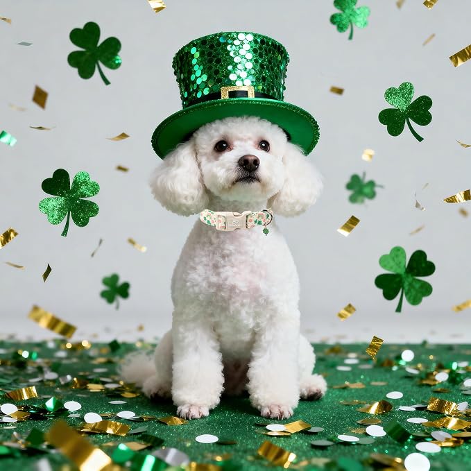 St. Patrick's Day Dog Collar for Medium Dogs - Cute Shamrock & Rainbow Print Dog Collars, Irish Green Party Puppy Collar, Lightweight Adjustable St. Patricks Day Pet Collars M