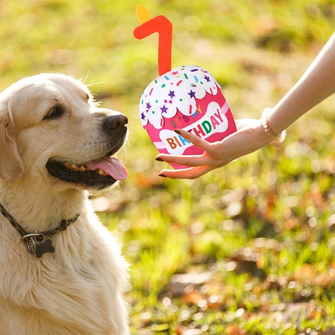 Dansydaisy Dog Birthday Cake Toy Squeaky Plush Toy for Girl Boy Gifts, Chew Accessories for Dog Birthday Party Decor Favor for Large, Medium and Small Dogs(7th,Pink)