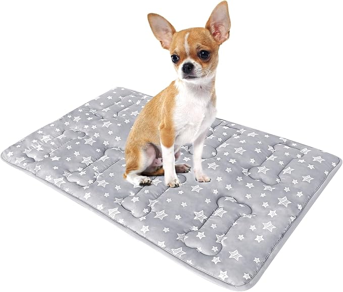 Dog Crate Mat (21" X 14"), Soft Dog Bed Crate Pad with Cute Prints | Personalized Crate Pad, Anti-Slip Bottom, Machine Washable Kennel Pad