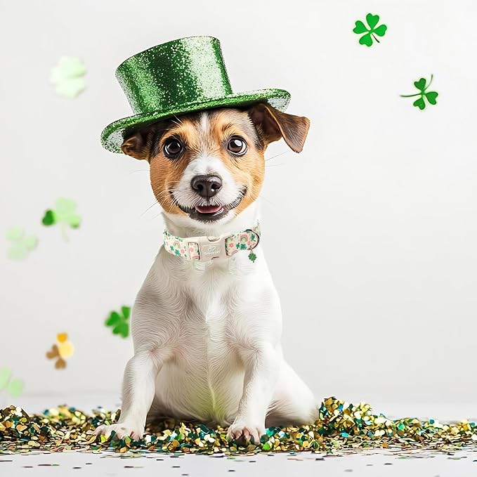 St. Patrick's Day Dog Collar for Small Dogs - Cute Shamrock & Rainbow Print Dog Collars, Irish Green Party Puppy Collar, Lightweight Adjustable St. Patricks Day Pet Collars S