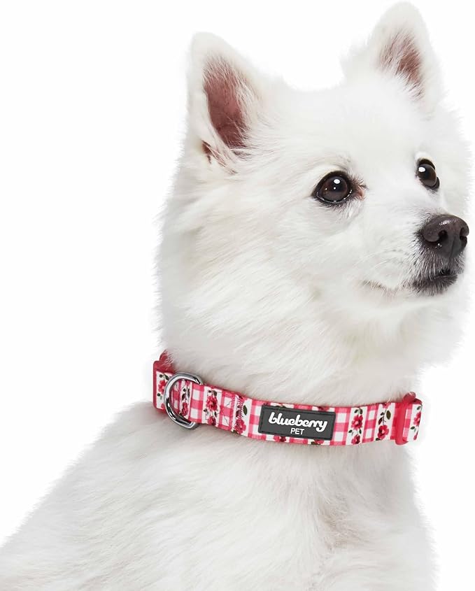 Blueberry Pet Spring Scent Inspired Dainty Flower Dog Collar, Pink Check, Adjustable Dog Collar for Small Dogs, Size Small, Neck 12-16"