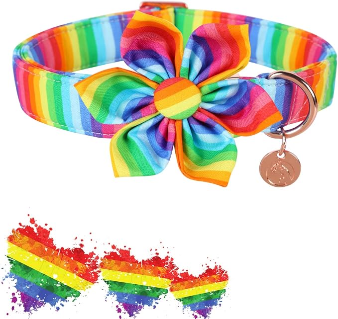 DOGWONG Cotton Pride Dog Collar, Rainbow LGBTQ Dog Collar Puppy Pet Collar for Small Medium Large Dog