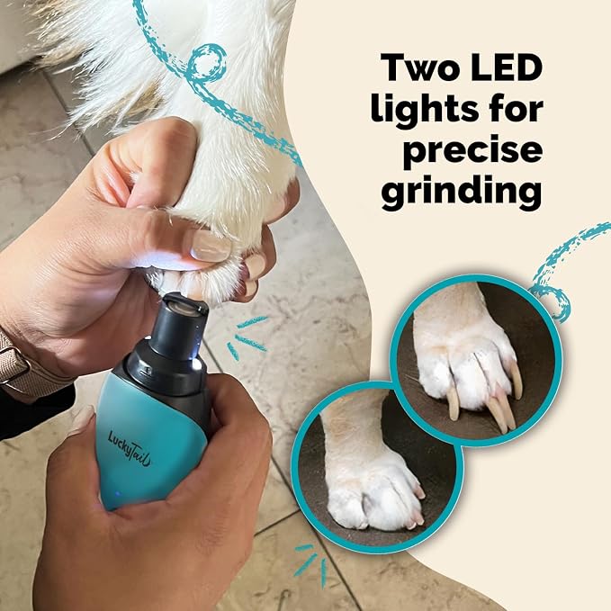Pet Nail Grinder for Dogs and Cats - Super Quiet and Low Vibration Electric Dog Nail Grinder with 2 LED Lights - USB Rechargeable and Cordless - 2 Speeds - Small to Large Pets - Teal