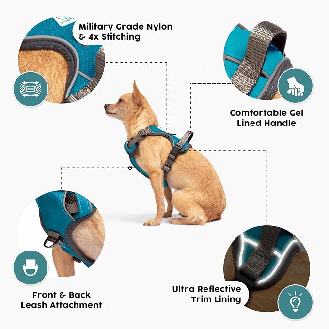 Embark Adventure XL Dog Harness – No-Pull, Reflective Trim, Military-Grade Nylon, Dual Leash Clips, Gel-Lined Handle for Extra Large Dogs