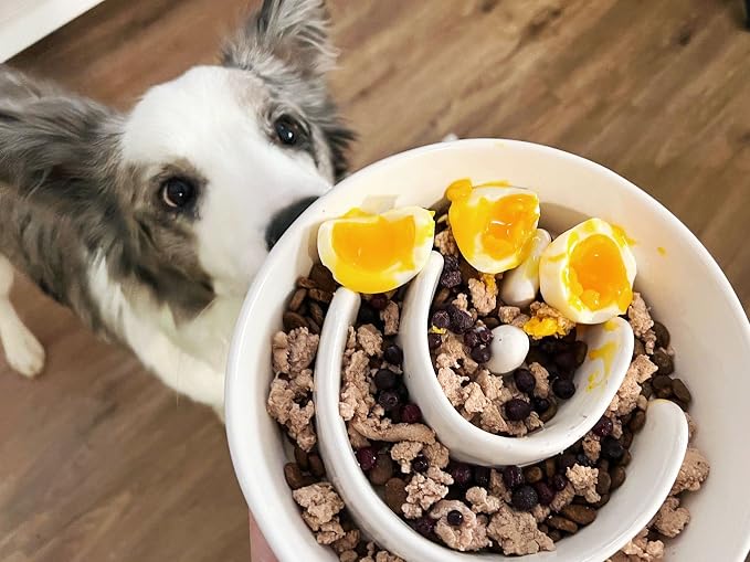 LE TAUCI PET Ceramic Slow Feeder Dog Bowl, 3 Cups Maze Dog Food Bowl for Medium/Large Dogs – Non-Slip White Pet Dish, Cute Puzzle Design to Slow Fast Eaters