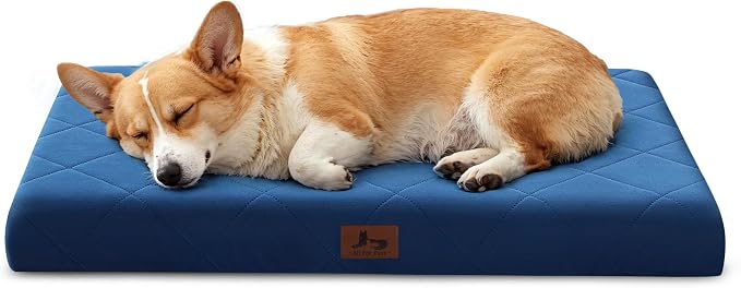 Orthopedic Dog Beds for Medium Dogs, Washable Pet Bed Mat with Removable Cover, Waterproof Egg Crate Foam Puppy Bed Anti Slip, 30" x 20", NOT for Chewers