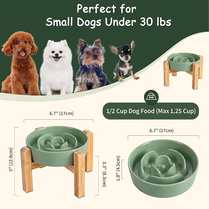 Elevated Slow Feeder Dog Bowl - Ceramic Maze Food Dish with Bamboo Stand - Raised Feeding Bowl for Fast Eaters Small and Medium Dogs - Green