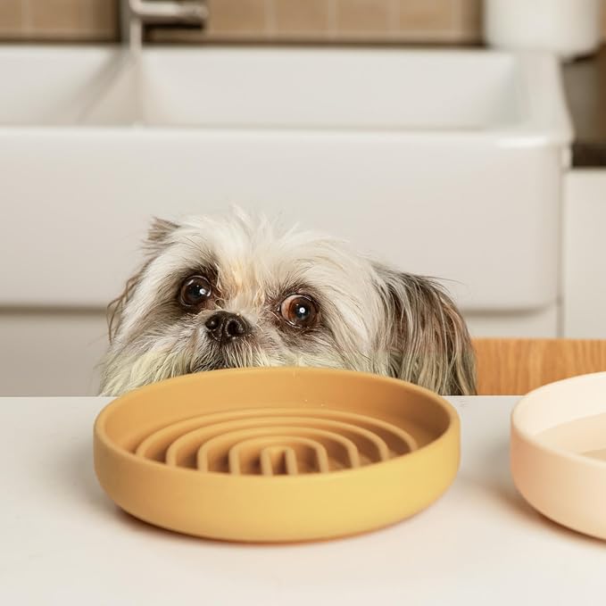 Should We Go? Slow Feeder Dog Bowls - Small Size Silicone Slow Eating Dog Bowl for Puppies & Dogs with Suction Cup -Dishwasher-Safe, Lick Mat Design, Reduces Gulping, for All Breeds, 6”x1.25”- Honey