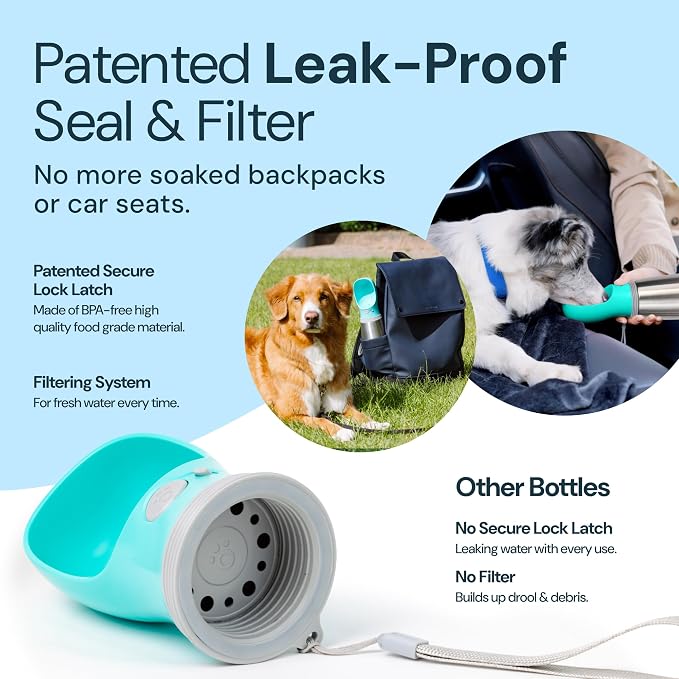 MalsiPree Insulated Dog Water Bottle - 24 oz Blue, Stainless Steel | 24oz insulated steel bottle & bowl - leak-proof - Use for dog travel, hiking, park & beach days