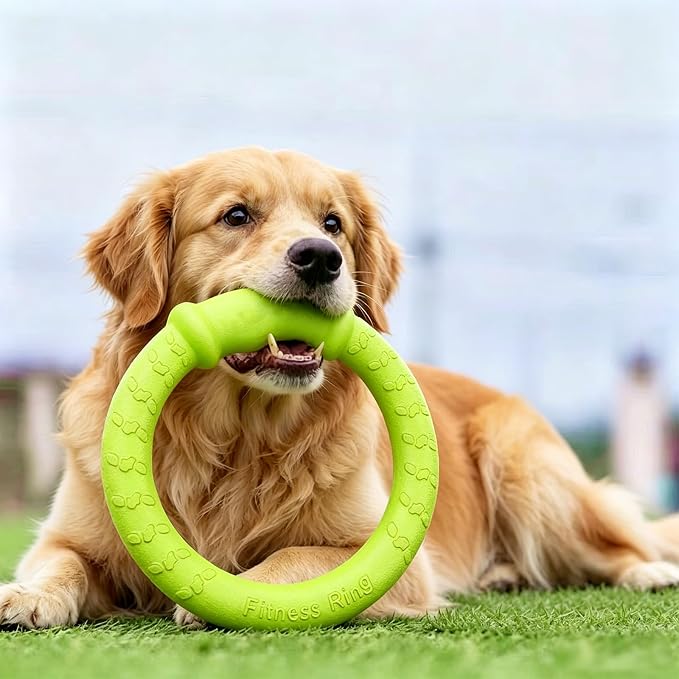 LaRoo Dog Ring Toy, Durable Soft Flying Disc, Thickened, Floatable Pool Toy for Medium Large Dogs, Interactive Tug of War & Fetch Toy for Outdoor Training, Teeth Cleaning & Exercise (Green-11.8inch)