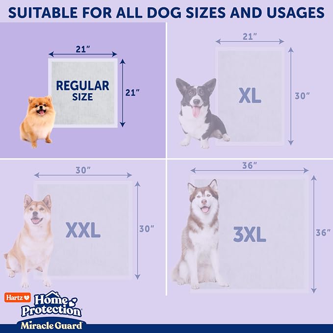 Hartz Miracle Guard Dog and Puppy Dog Pads Max Absorbency 24 Hour Use Odor Eliminating Lavender Scented No Leaks, Regular Size 50 Count