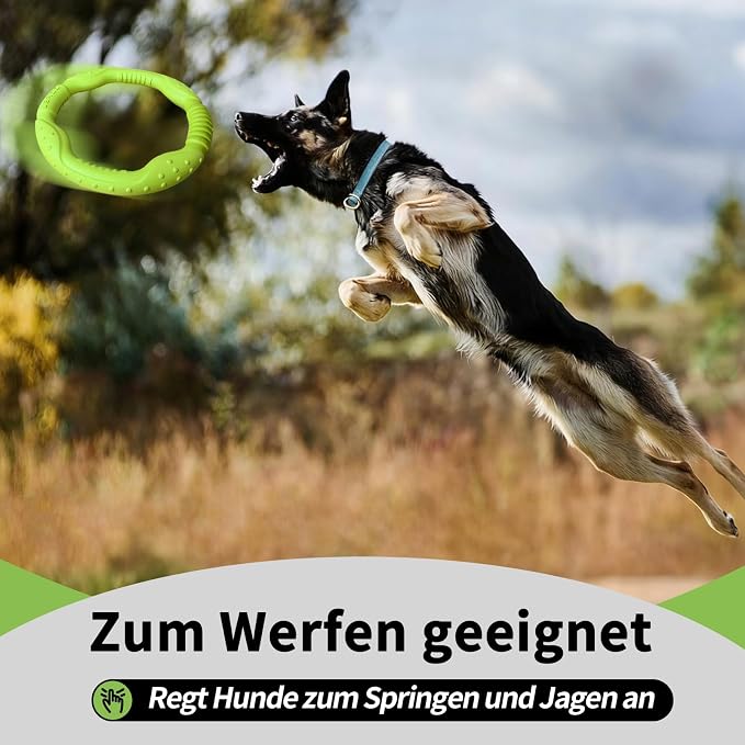 LaRoo Dog Flying Ring Toys, Floating Flying Disc ABS Durable Interactive Chew Toys for Training Outdoor Playing Puppy Medium Large Dogs (Small Green/18cm)