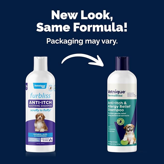 Vetnique Dermabliss Oatmeal Dog Shampoo for Itchy Skin & Allergy Relief | Soap-Free Colloidal Oatmeal & Aloe Wash for Dogs, Puppies & Cats, Soothes Itchy, Allergy-Prone, Flaky Sensitive Skin