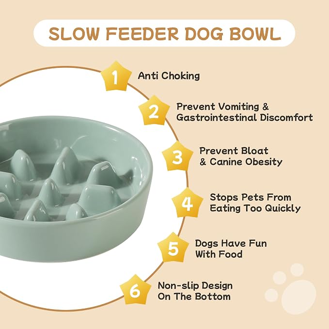 Havniva 6.1” Raised Slow Feeder Dog Bowls Set, 0.9 Cups Ceramic Slow Feeder Dog Bowl and 6.1” Dog Water Bowl with Elevated Wooden Stand Puzzle Dog Food Bowl for Small Dogs Anti-Gulping & Anti-Choking