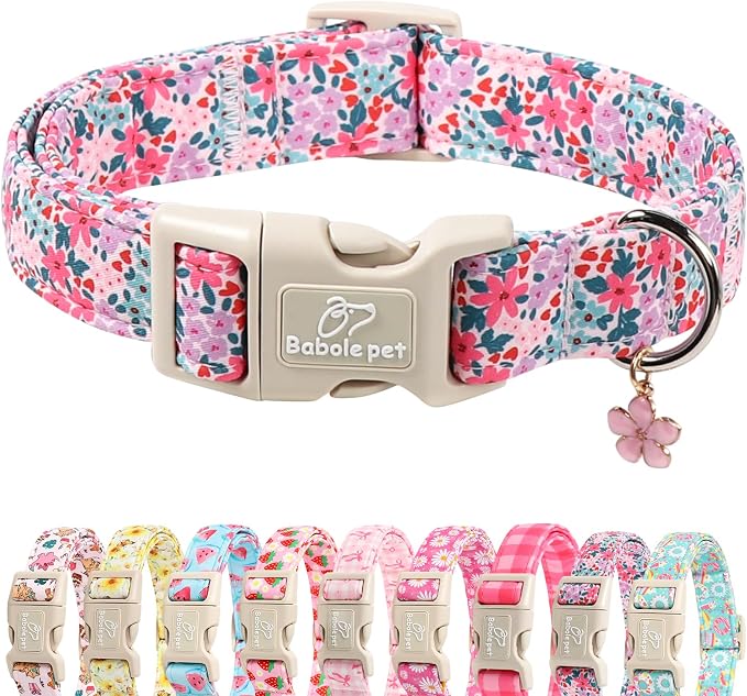 Floral Dog Collar, Cute Girl Dog Collars - Pastel Wildflowers Pattern Spring Summer Puppy Collar, Adjustable Female Dog Collars for Small Medium Large Dogs XS