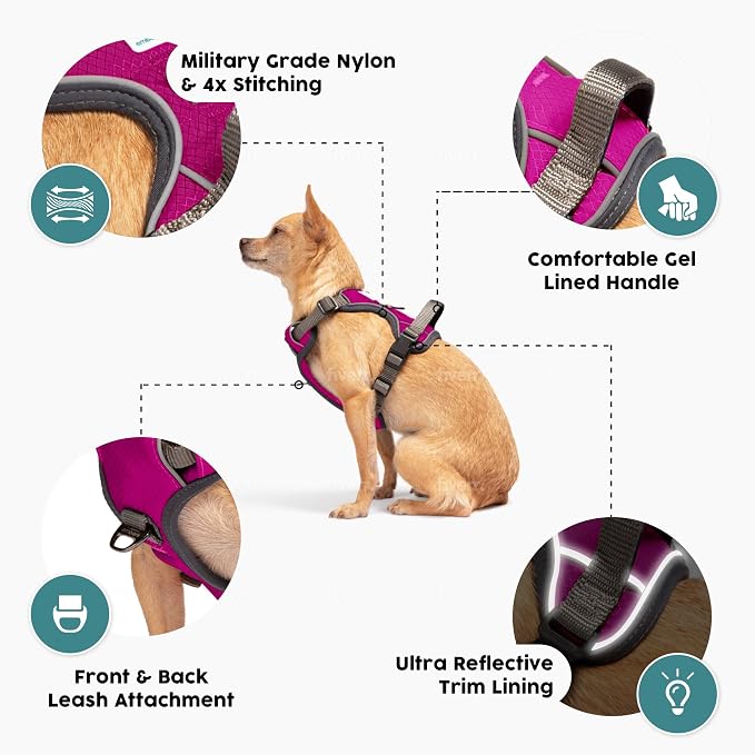 Embark Adventure Large Dog Harness – No-Pull, Reflective Trim, Military-Grade Nylon, Front Clip with Gel-Lined Handle