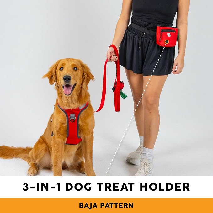 Embark Dog Treat Pouch - Waterproof Training Bag & Portable Water Bowl | Leakproof Treat Bag with Hook, Magnetic Closure, Extra Pocket for Phone & Keys with Poop Bag Outlet For Dogs - Black