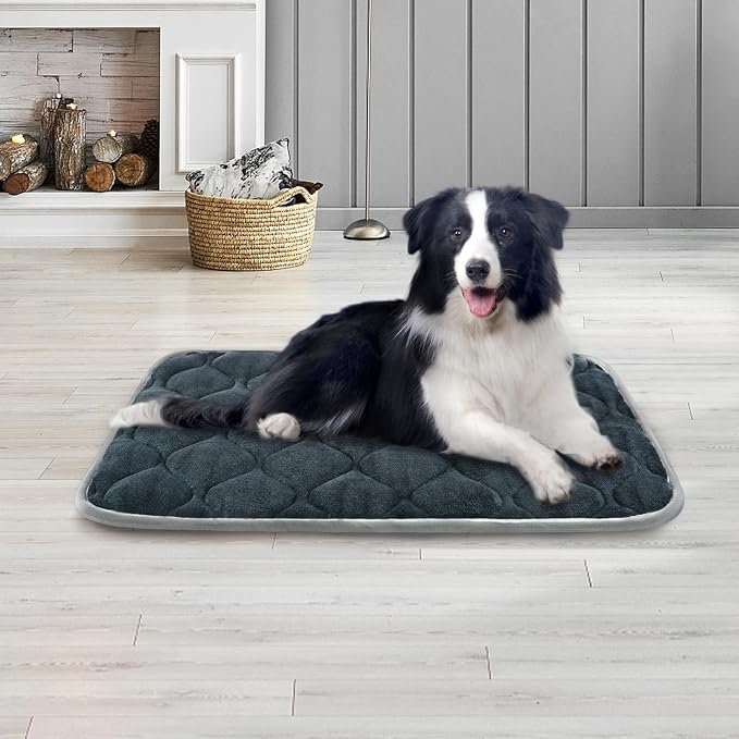 Dog Bed Mat Crate Pad, Anti-Slip Bottom Machine Washable Pet Pad | Thick lightweight mat with anti-slip bottom, machine washable. Ideal for dogs, cats in crates, home & car, XS 22x13'', Grey