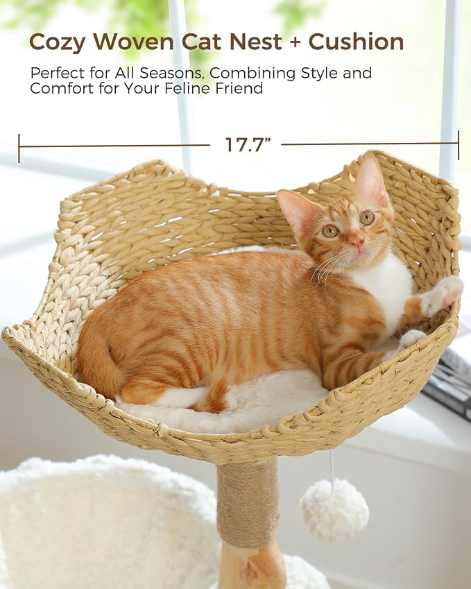 MUTTROS Modern Cat Tree for Large Cats, Wood Cat Tower for Indoor Cats, Real Branch Luxury Cat Furniture with Super Large Cozy Condo and Hammock & Scratching Post, Top Basket, White