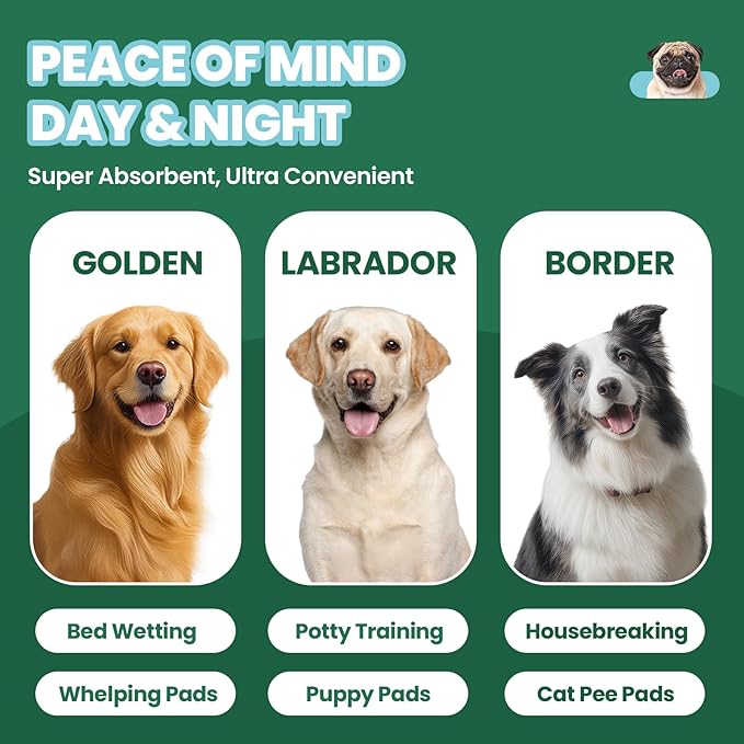 IMMCUTE 50 Pack Dog Pee Pads, 30"x36" Great Value Puppy Pads XL, Pee Pads for Dogs Cats Extra Large, Wee Wee Pads for Potty Training, Disposable Doggie Pads Super Absorbent & Leak-Proof