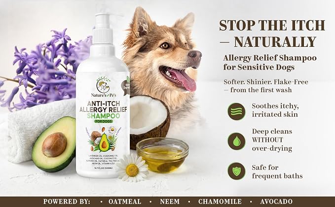 Anti-Itch Dog Shampoo for Allergies & Sensitive Skin – Oatmeal, Avocado, Almond, Neem & Chamomile Oil – Allergies, hot Spots & Paw Licking Relief – Moisturizing Skin – Safe for Frequent use – 16.7 oz