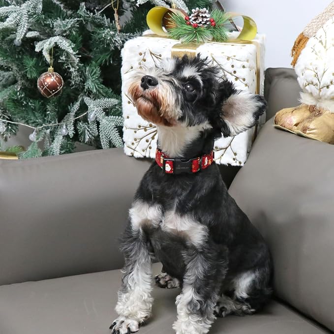 ARING PET Christmas Dog Collar, Cute Red Santa Claus Adjustable Cotton Pet Collars for Puppy Small Medium Large Boy and Girl Dogs-M