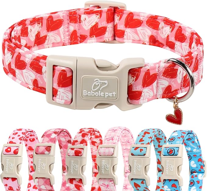 Valentines Dog Collar for Puppy Small Dogs - Cute Pink Girl Dog Collar, Doodle Heart Pattern, Adjustable Valentine Dog Collars with Red Heart Charm XS