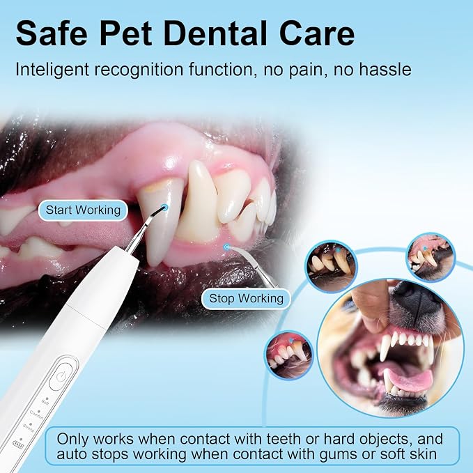 Ultrasonic Dog Plaque Remover Tool, 3 Modes Plaque and Tartar Remover for Dogs, Low Noise Sonic Dog Tartar Remover Dogs Plaque Remover with Toothbrush 2 Cleaning Head for Pet Dental Care, White