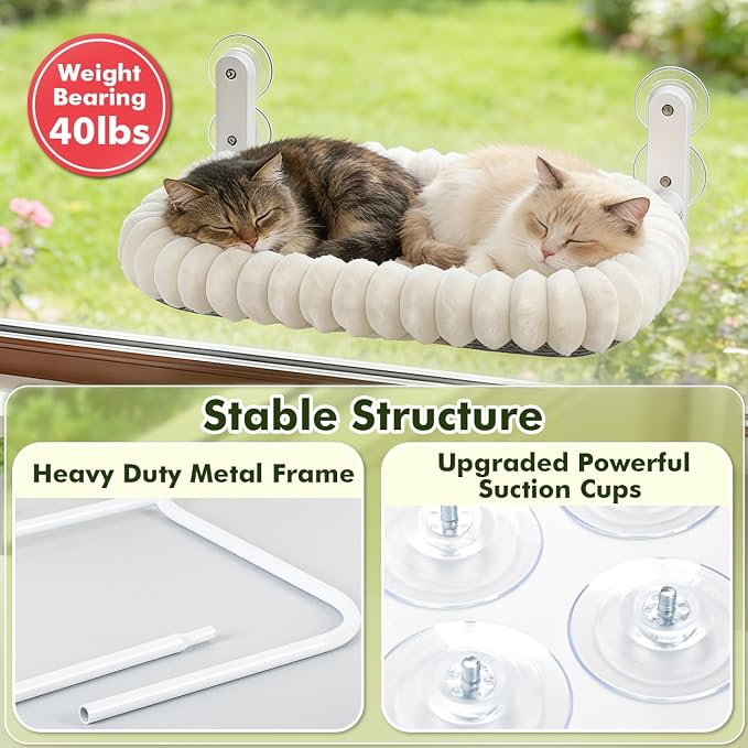Zoratoo 2PC Cloud-Cuddle Cat Window Perch, Foldable Cat Hammock, M White | 2-in-1 Reversible Cover, Removable for Machine Wash, Stable Window Resting Seat with Large Suction Cups for Indoor Cats