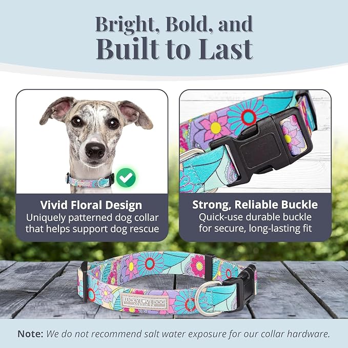 Lucky Love Dog Collars, Cute Small Dog Collars for Female Dogs, Part of Purchase Donated to Rescue, Caroline, Small