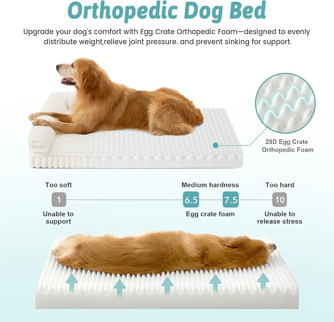 COZY KISS Faux Rabbit Fur Medium Dog Bed – 36"x27" Orthopedic Foam Couch with Sides, Removable Washable Cover & Waterproof Lining, Cream