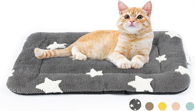 Mora Pets Cat Beds for Indoor Cats Washable Cat Mat Bed Flat Dog Crate Pad | Ultra Soft Cat Bed for Carrier, Puppy Crate Pad for Dog Cages Cozy Sleeping Liner, Small Cat Pillow Cushion Anti Slip 22 x 13