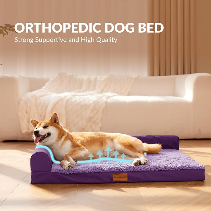 Patas Lague Orthopedic Large Dog Bed Washable Pet Sofa Bed 42''X28''Purple | 2-Sided Bolster Egg-Crate Foam Dog Couch Large Sized Dogs, Waterproof Removable Washable Cover, Nonskid Bottom Pet Crate Mat
