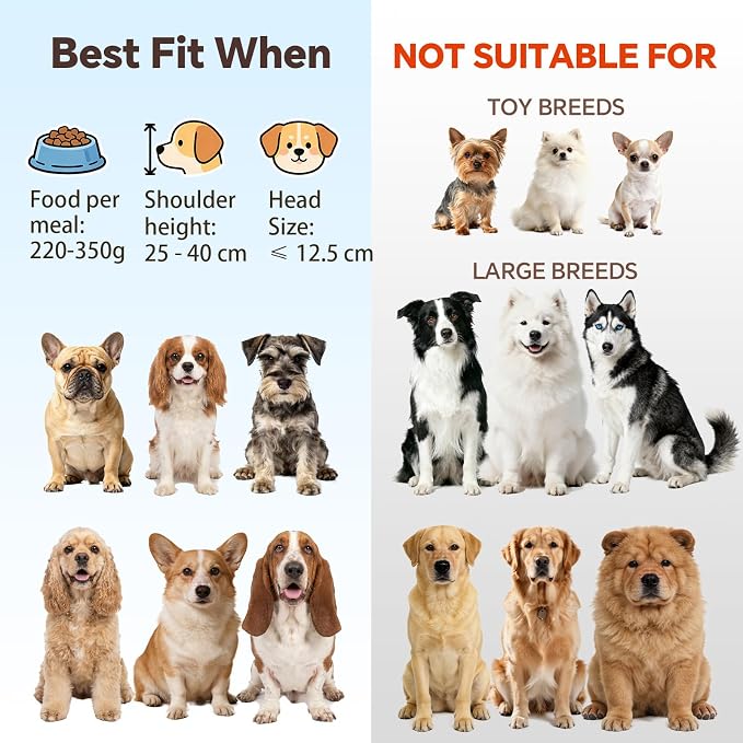Large Glass Tilted Elevated Cat Dog Bowl Raised Cat Food Water Bowl Dish Pet Comfort Feeding Bowls with Gold Iron Stand